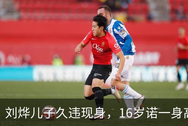 刘烨儿子久违现身，16岁诺一身高超180，过了容貌尴尬期变更帅了